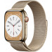 Apple Watch Series 8 41mm Stainless Steel Case with Milanese Gold Apple Watch Series 8 41mm Stainless Steel Case with Milanese Gold