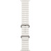 Apple Watch Ultra 2 49 mm Titanium Case Ocean Band White