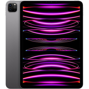 Apple iPad Pro 11 (2022) 128Gb Wi-Fi Gray Apple iPad Pro 11 (2022) 128Gb Wi-Fi Gray