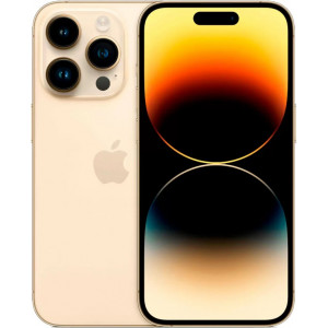 Apple iPhone 14 Pro 1Tb Gold (A2890)