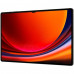 Samsung Galaxy Tab S9 Ultra 14.6 X910 (2023) 12/512Gb Wi-Fi Graphite (Global)